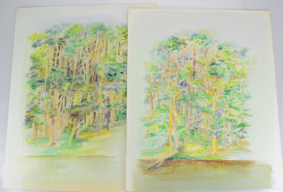2pcs Original Watercolor Landscapes SALVATORE GRIPPI: Details: 2pcs Original Watercolor Landscapes SALVATORE GRIPPI PAINTINGS 1990 Artist Signed Unique Ithaca College NY New York School Art Decorative Artwork Nature These 2 watercolor paintings on illus