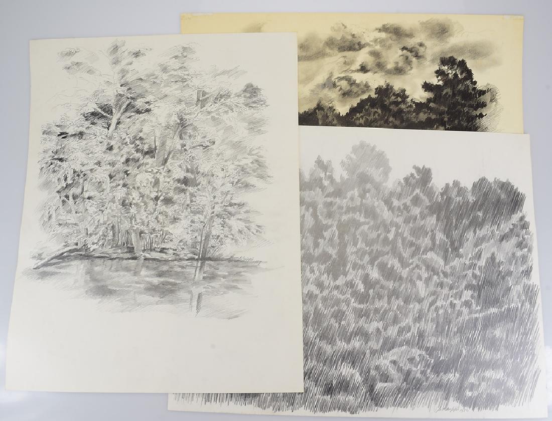 3pcs Original Pencil Landscapes SALVATORE GRIPPI: Details: 3pcs Original Pencil Landscapes SALVATORE GRIPPI DRAWINGS 1986-1989 Artist Signed New York School Expressionist Unique Ithaca NY Artwork Decoration These 3 landscape pencil drawings are signe