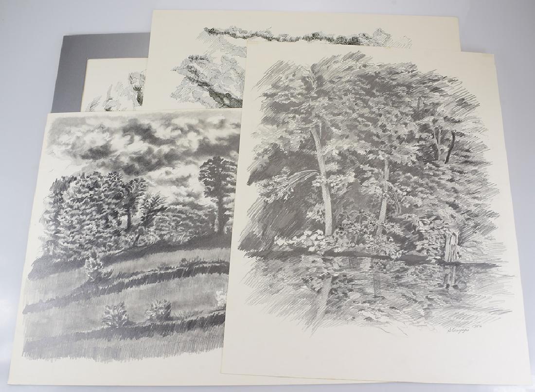 4Pcs Vintage Landscape SIGNED SALVATORE GRIPPI DRAWINGS: Details: 4Pcs Vintage Landscape SIGNED SALVATORE GRIPPI DRAWINGS 1985 1986 1989 1990 Pen & Pencil New York School Ithaca College Nature Scene Trees Original Artwork Home/Office/Studio This lot consist
