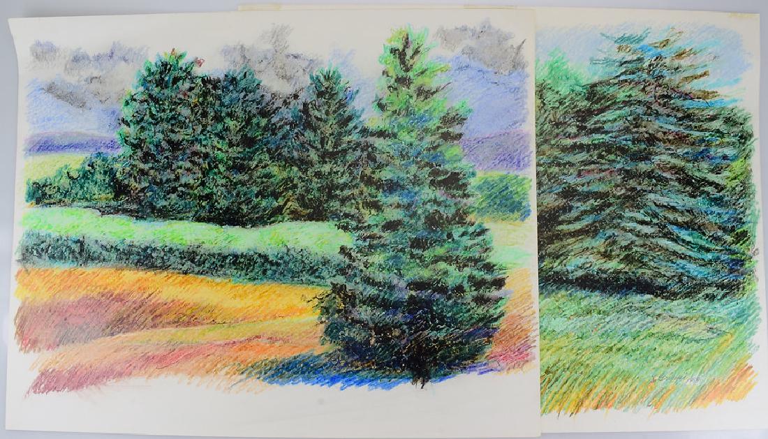 2pcs Pastel Landscape Drawings ORIGINAL SALVATORE: Details: 2pcs Pastel Landscape Drawings ORIGINAL SALVATORE GRIPPI ARTWORK 1984 Artist Signed New York School Expressionist Decorative Ithaca NY Art These 2 pastel landscape drawings were created by n
