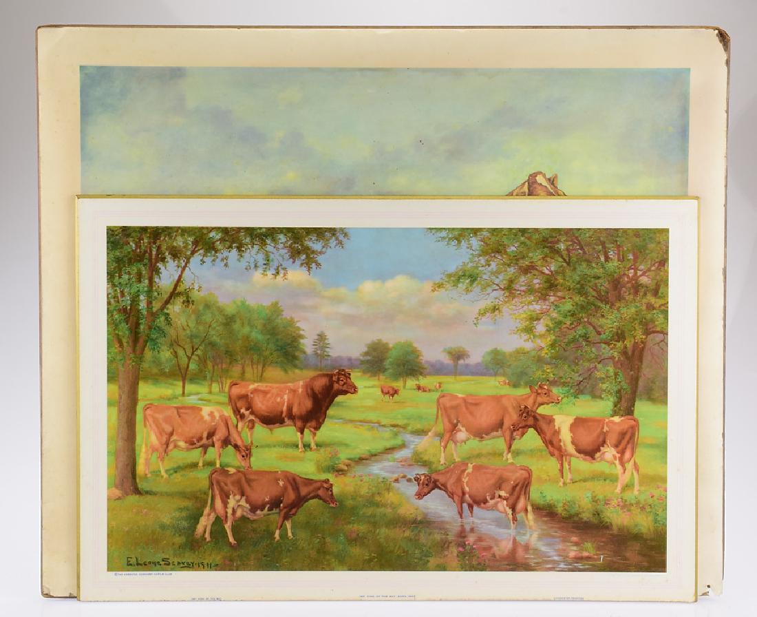 2Pcs American Guernsey Cattle Club PROMOTIONAL CATTLE: Details: 2Pcs American Guernsey Cattle Club PROMOTIONAL CATTLE MOUNTED POSTERS Collectible Ideal Guernsey Type Golden Drawing Agriculture Dairy Industry Milk CowThis lot consists of two mounted promo