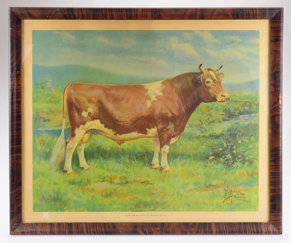 Guernsey Bull FRAMED GUERNSEY CATTLE PICTURE Golden: Details: Guernsey Bull FRAMED GUERNSEY CATTLE PICTURE Golden Guernsey Ideal Type Agriculture Promotional Picture Drawing Painting Dairy American Guernsey Cattle ClubThis lot consists of a framed pain