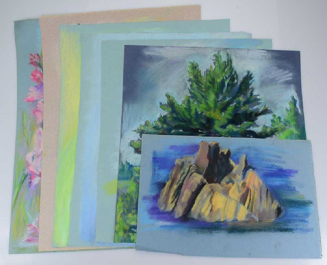 7pcs Original Pastel Drawings ROSALIND GRIPPI: Details: 7pcs Original Pastel Drawings ROSALIND GRIPPI STILL-LIFES/LANDSCAPES/PORTRAITS Decorative Artwork Unique Ithaca College NY Salvatore Grippi Art These 7 pastel drawings were created by Rosali
