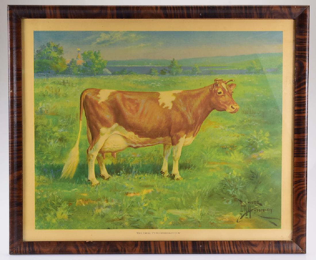 Guernsey Cow FRAMED GUERNSEY CATTLE PICTURE Golden: Details: Guernsey Cow FRAMED GUERNSEY CATTLE PICTURE Golden Guernsey Ideal Type Agriculture Promotional Picture Drawing Painting Dairy American Guernsey Cattle ClubThis lot consists of a framed paint