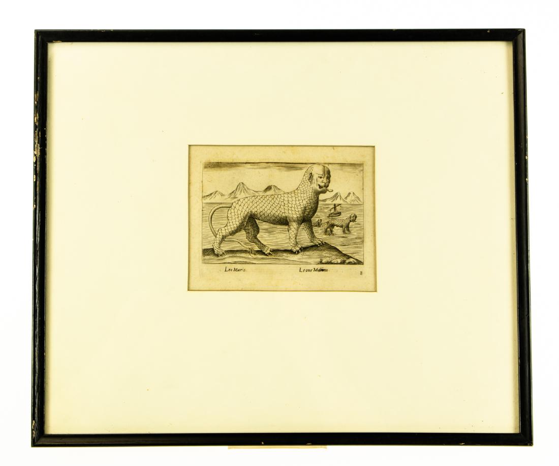 Sea Lions ANTIQUE NATURAL HISTORY ENGRAVING 16th-17th: Sea Lions ANTIQUE NATURAL HISTORY ENGRAVING 16th-17th Century Plate 8 Leo Maris Leone Marino Framed Sea Lions ANTIQUE NATURAL HISTORY ENGRAVING 16th-17th Century Plate 8 Leo Maris Leone Marino Framed 