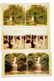 600+ ANTIQUE ESTATE PHOTOGRAPHS Upstate New York Winter - 6