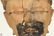 Pre-Columbian Art ANTIQUE REMOJADAS CERAMIC FIGURE - 7