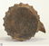 Antique Pottery PRE-COLUMBIAN SPIKED VESSEL Canteen - 5