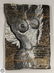 65Pcs Varujan Boghosian Newport Jazz Festival VINTAGE & - 2