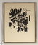 65Pcs Varujan Boghosian Newport Jazz Festival VINTAGE & - 3