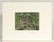 65Pcs Varujan Boghosian Newport Jazz Festival VINTAGE & - 8