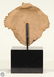 Pre-Columbian Art ANTIQUE REMOJADAS CERAMIC FIGURE - 3
