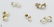 10Pcs Diamonds Akoya VINTAGE CHINESE PEARL EARRINGS