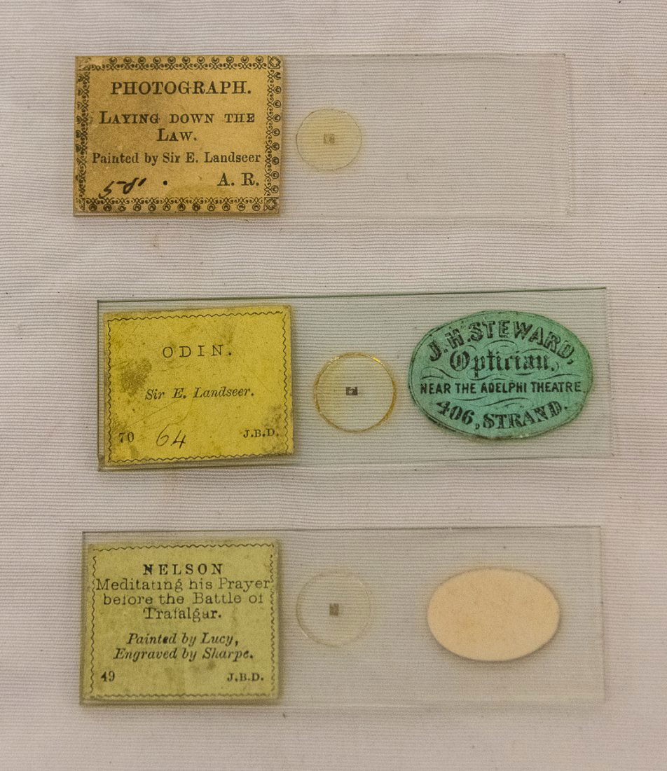 MICRO-PHOTOGRAPHS BY JB DANCER (1 of 8)