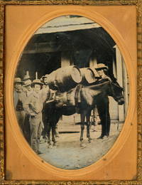 [Daguerreotype] The Miner's Mule