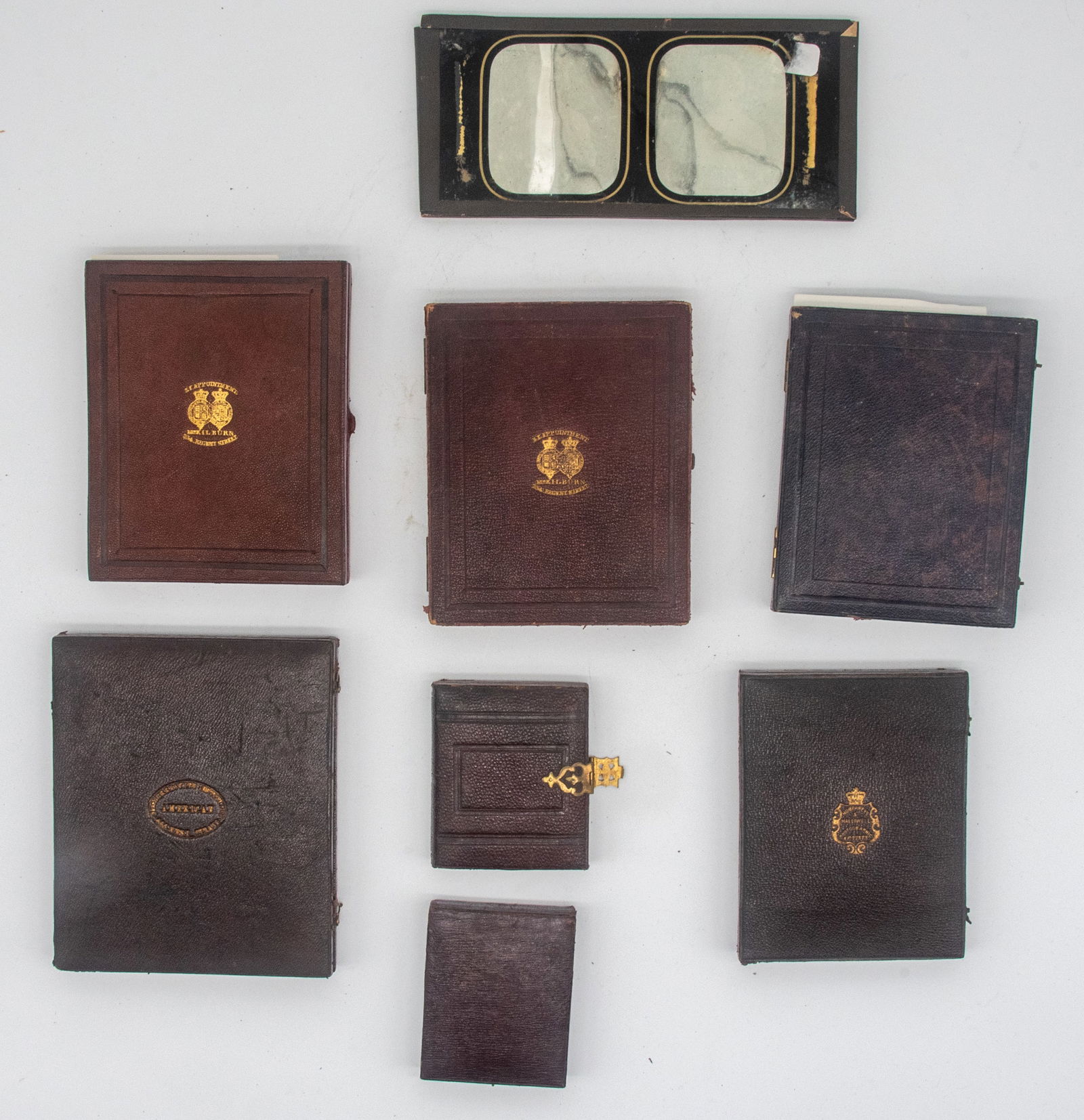 [English Daguerreotypes and Ambrotypes] (1 of 9)