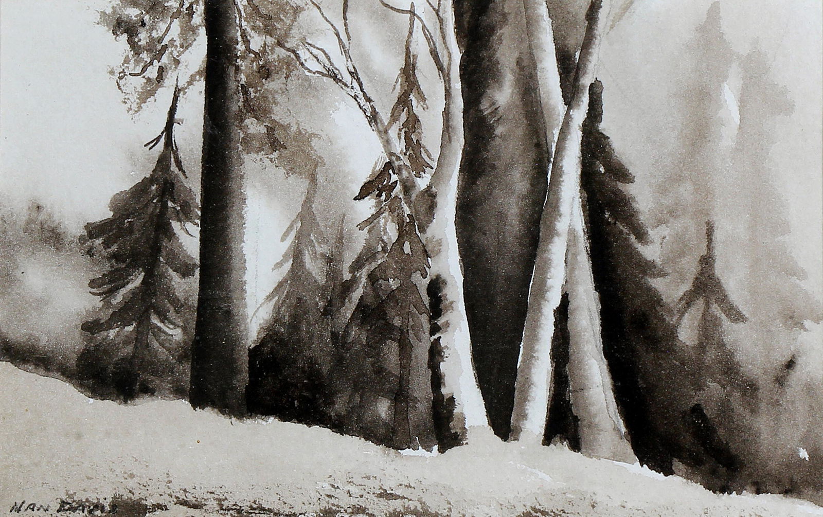 Nan Davis, Untitled (Forrest Trees) (1 of 3)