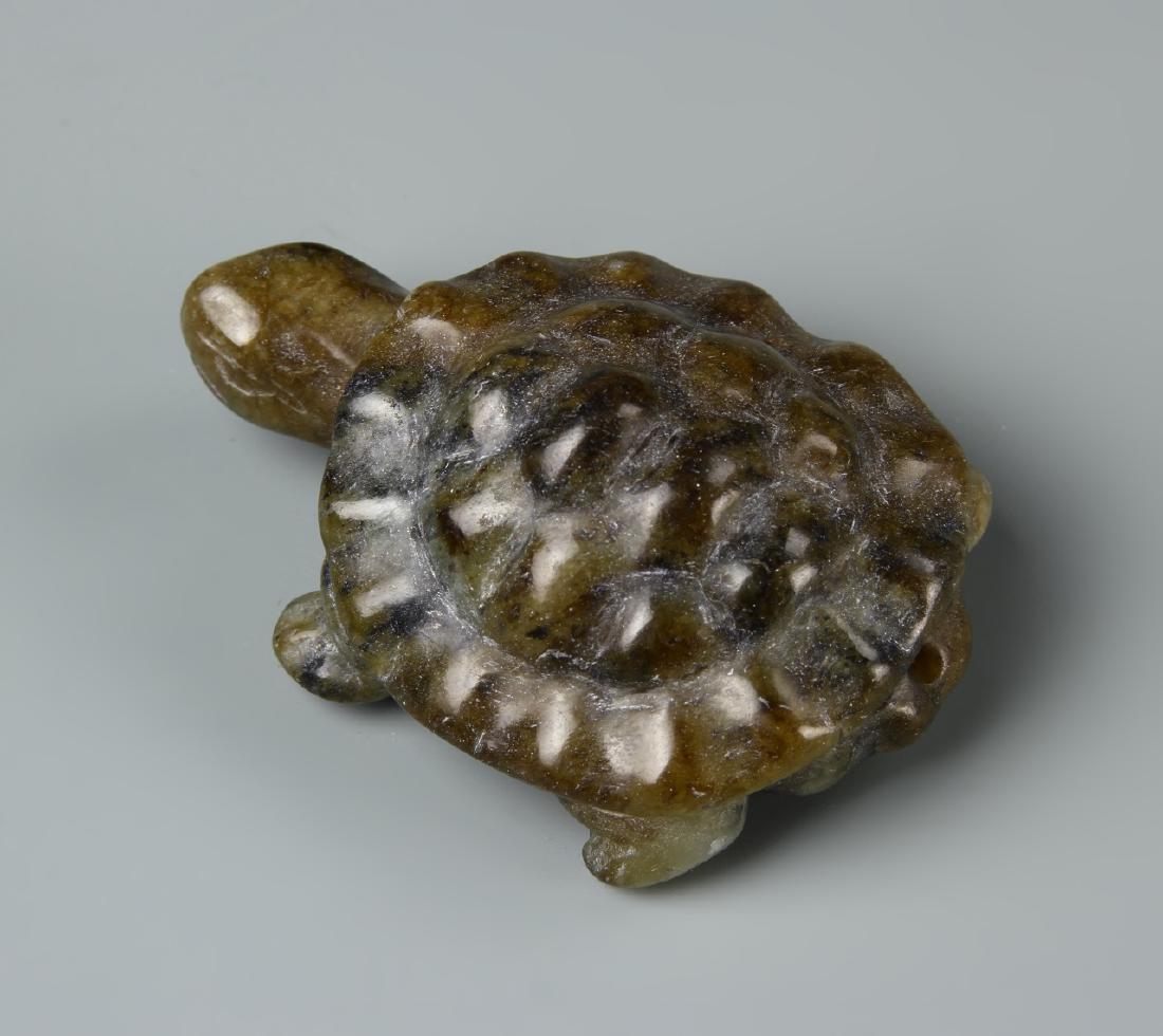 Chinese Jade Turtle (1 of 1)