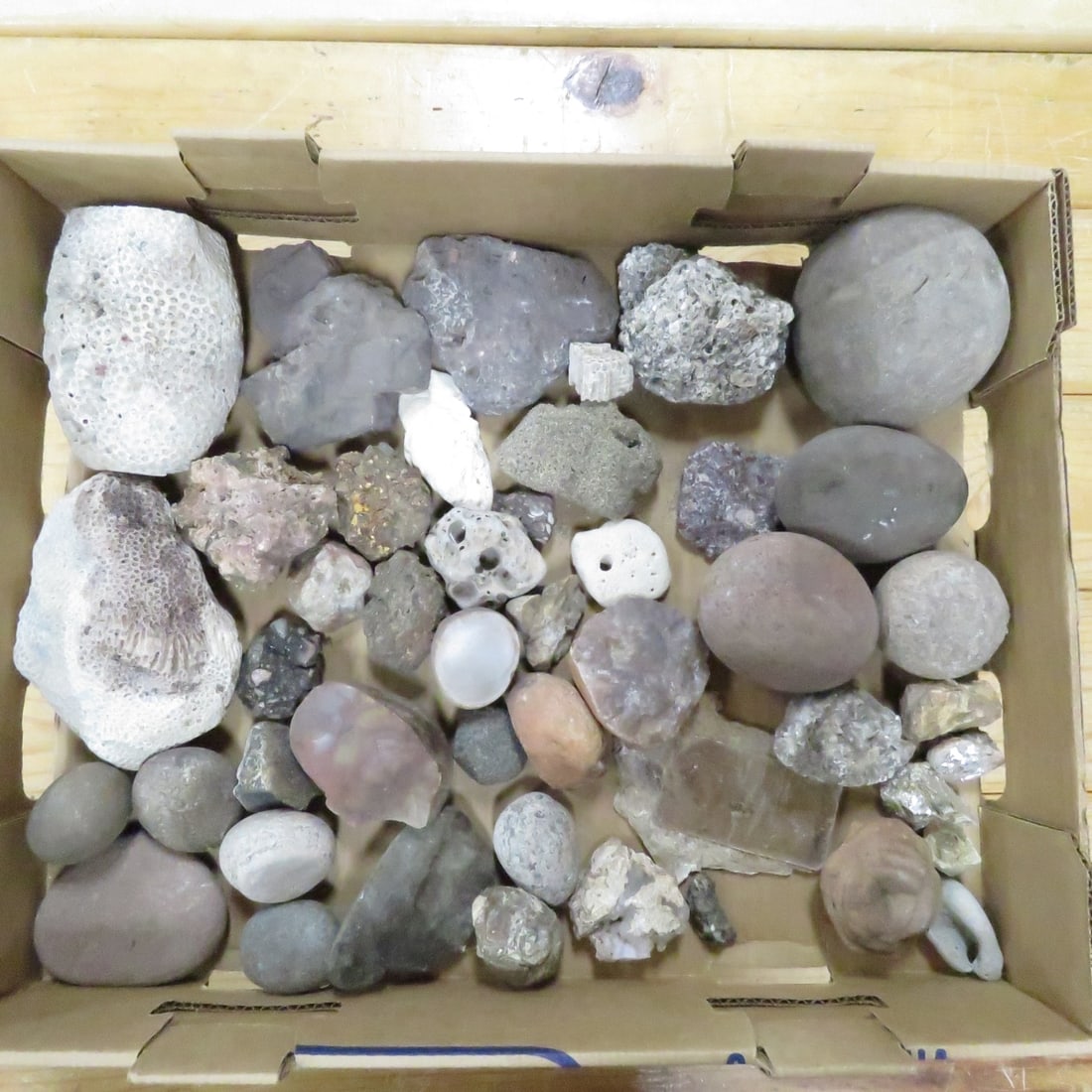 20 pounds mixed rocks, fossils, minerals (1 of 9)