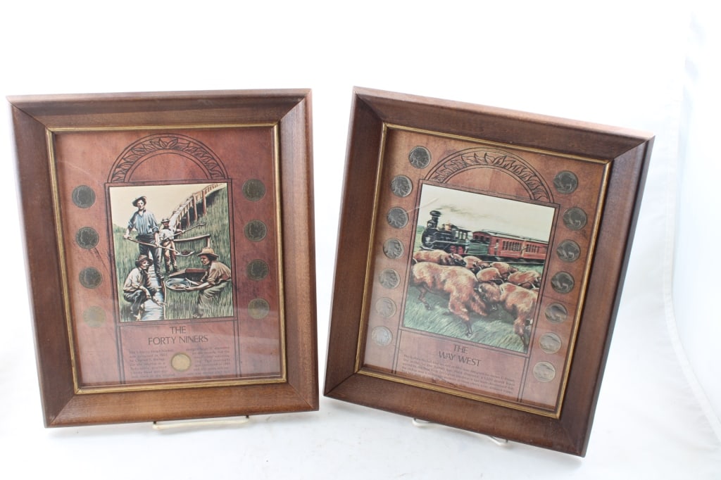 Framed 9 Liberty Nickels, 14 Buffalo Nickels (1 of 20)