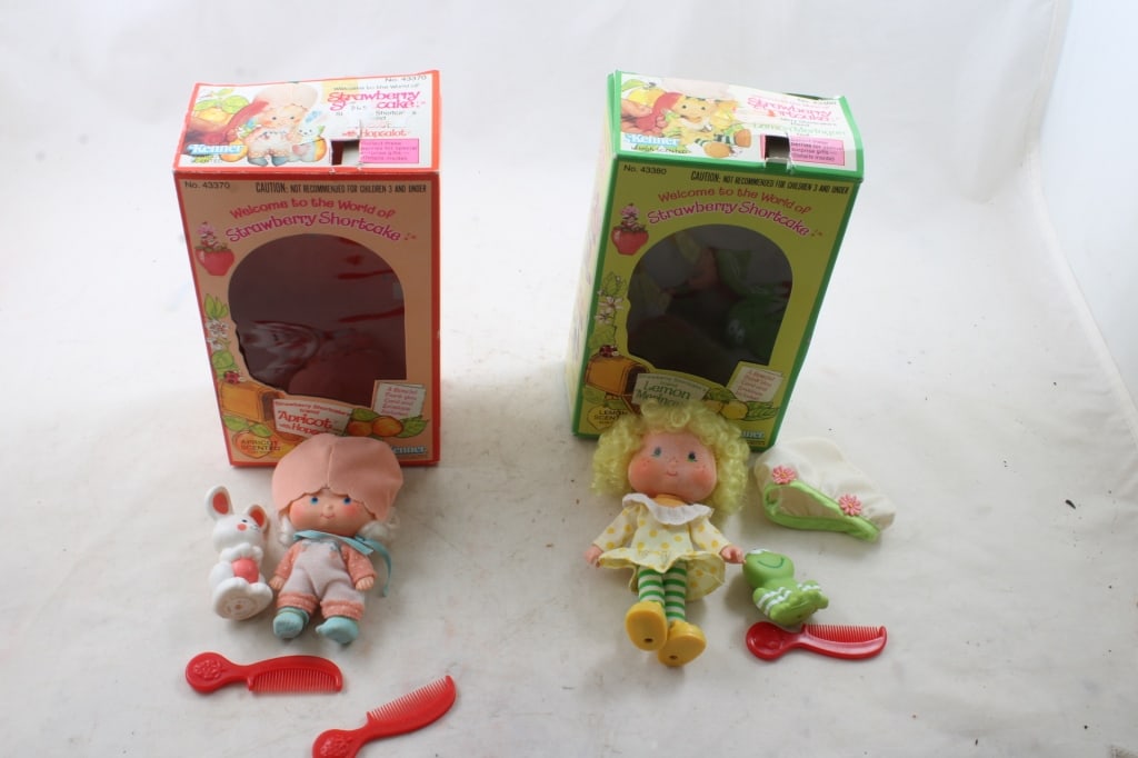 Strawberry Shortcake Lemon Meringue & Apricot: Strawberry Shortcake Lemon Meringue & Apricot -1980 Strawberry Shortcake Lemon Meringue with Frappe Pet in box and 1980 Apricot with Hopsalot in Box as pictured. Please ask questions and read terms & 