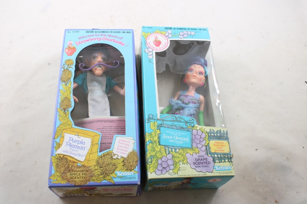 Strawberry Shortcake Purple Pieman & Sour Grapes: Strawberry Shortcake Purple Pieman & Sour Grapes -1980 Strawberry Shortcake Purple Pieman with Berry Bird Kenner in Box (box shows wear) and 1982 Strawberry Shortcake Sour Grapes with Dregg in Box Ken