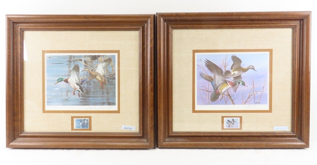 1983 FOS & 1984 NC Duck Stamp Prints: 1983 FOS & 1984 NC Duck Stamp Prints - 1983 Mallards 4079/13,652 signed Richard Plasschaert, framed with stamp 19 x 17 1/4". 1984 Wood Ducks 4079/5020 signed Jim Killen, framed with stamp 19 x 17 1/4"