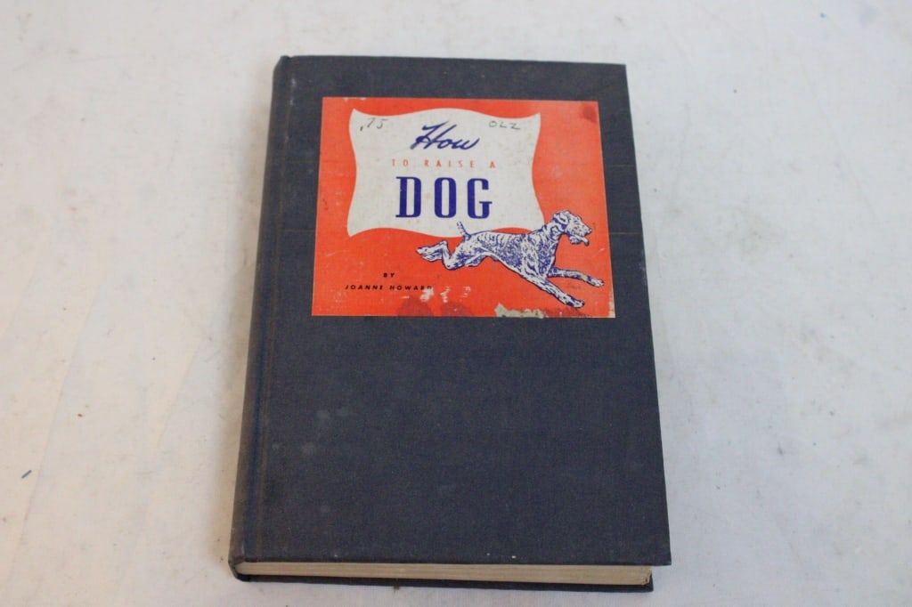 Adult Theme How To Raise A Dog Joanne Howard Book (1 of 12)