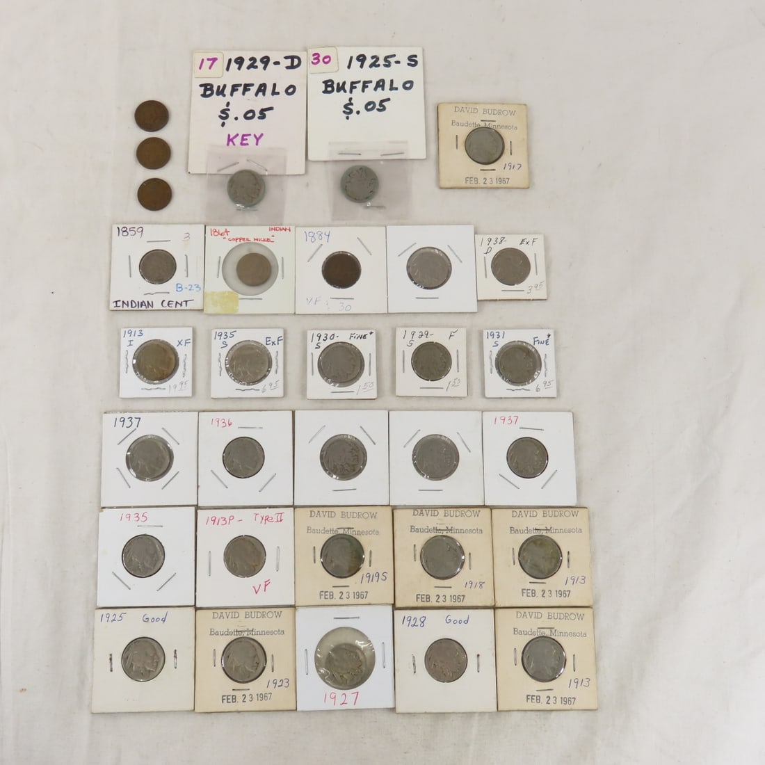 25 Buffalo Nickel & 6 Indian Head Cents (1 of 17)