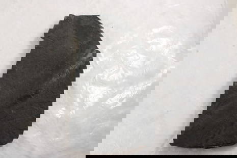 Plant Fossil: Plant Fossil - Measures 10" L x 5.5" Wide x 1" Thick as pictured. Please ask questions & read terms and conditions before bidding.