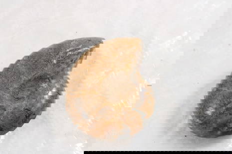 Nautilus Split and  Polished Fossil 3 1/2": Nautilus Split and Polished Fossil 3 1/2" - As pictured. Please ask questions & read terms and conditions before bidding.