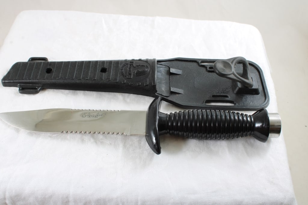 2 Fixed Blade Knives in Sheaths - 11