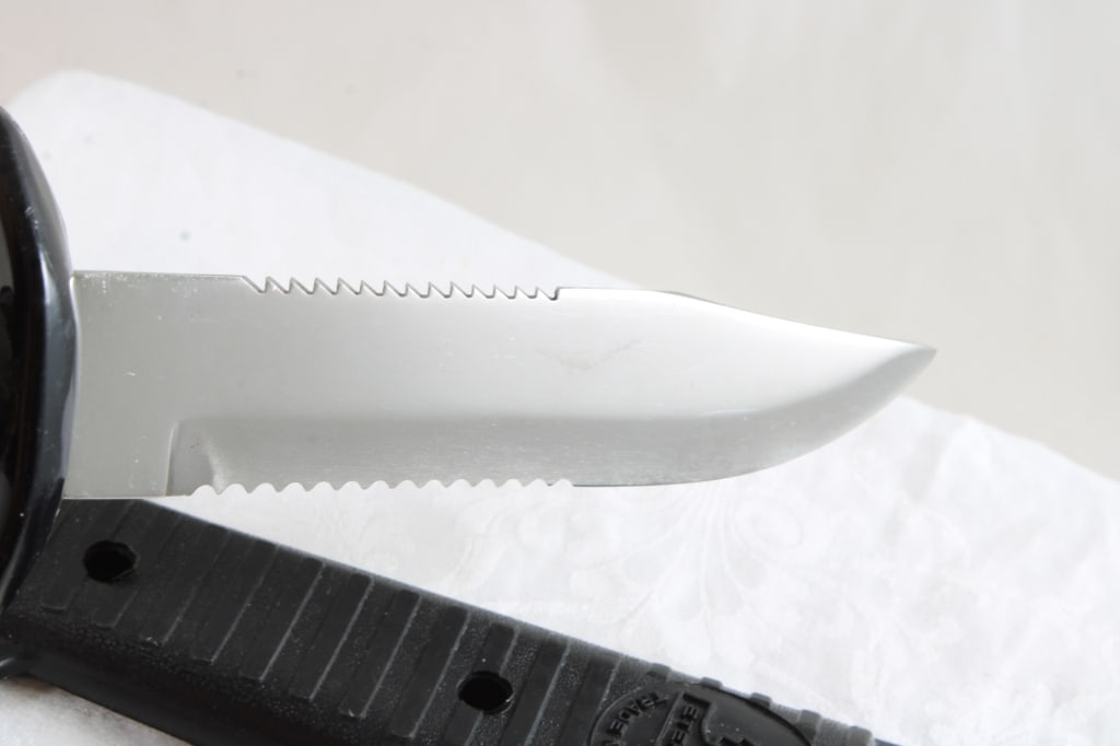 2 Fixed Blade Knives in Sheaths - 18