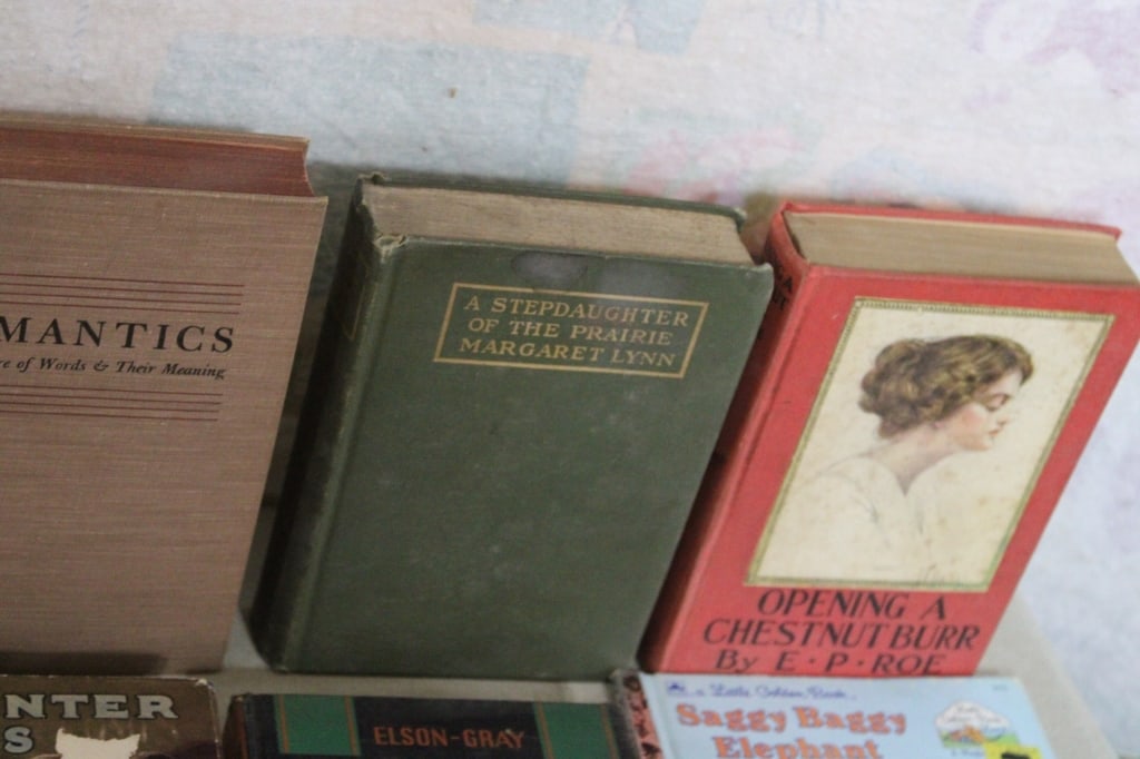Antique Books - 17