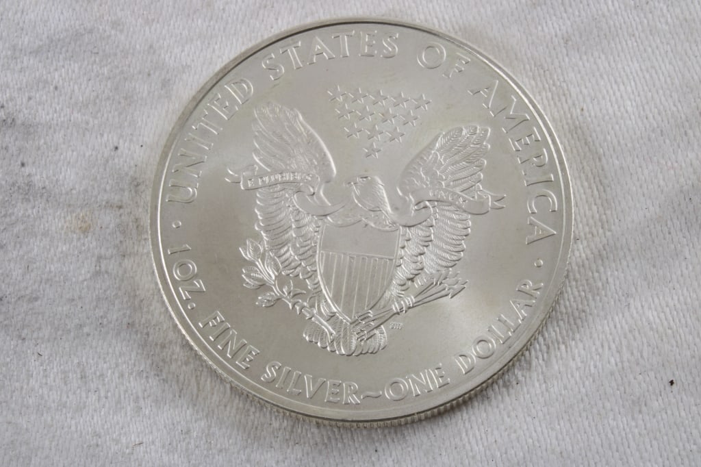 2010 1 Oz. Fine Silver Eagle - 4