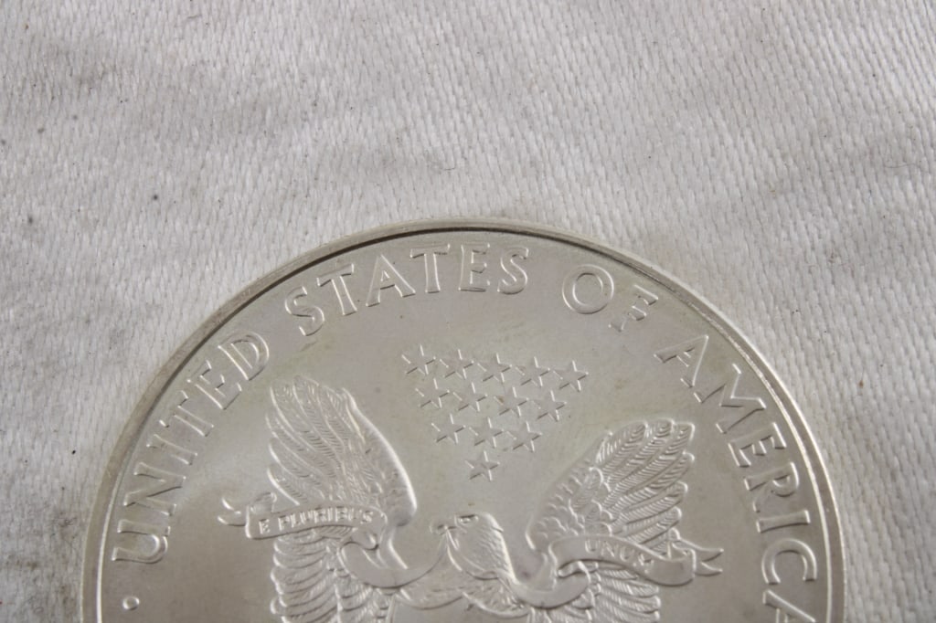 2010 1 Oz. Fine Silver Eagle - 5