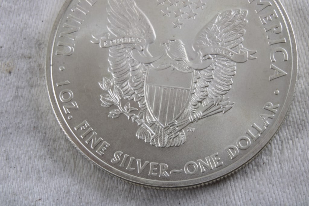 2010 1 Oz. Fine Silver Eagle - 6