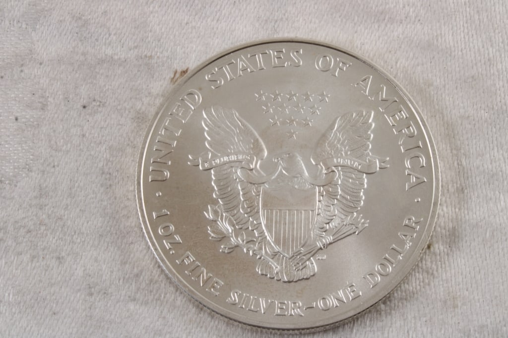 2007 1 Oz. Fine Silver Eagle - 4