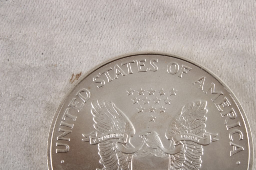 2007 1 Oz. Fine Silver Eagle - 5