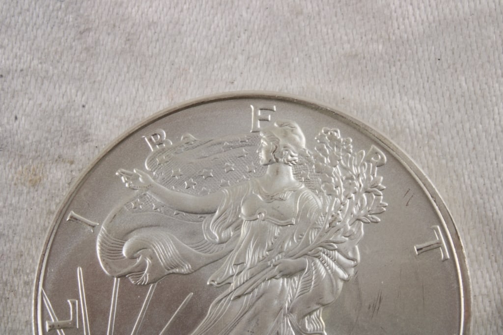 1 Oz. Fine Silver Eagle - 2