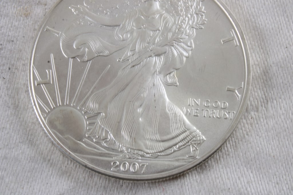 1 Oz. Fine Silver Eagle - 3