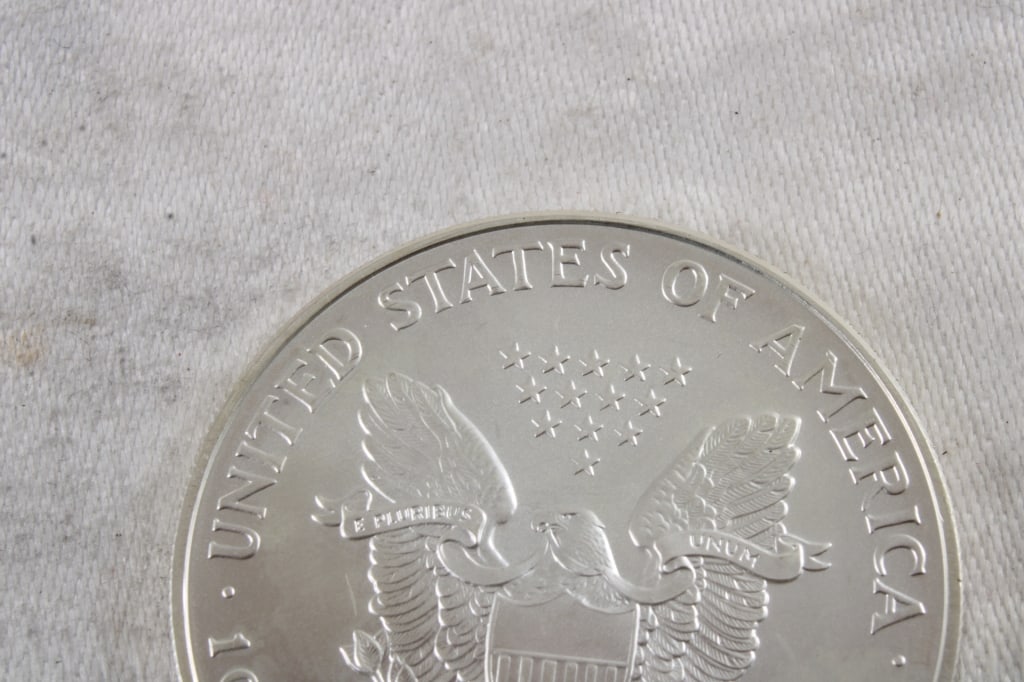 1 Oz. Fine Silver Eagle - 5