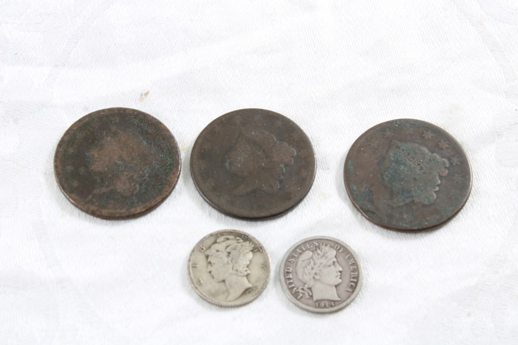 3 Large Cents, 2 Silver Dimes (1 of 11)