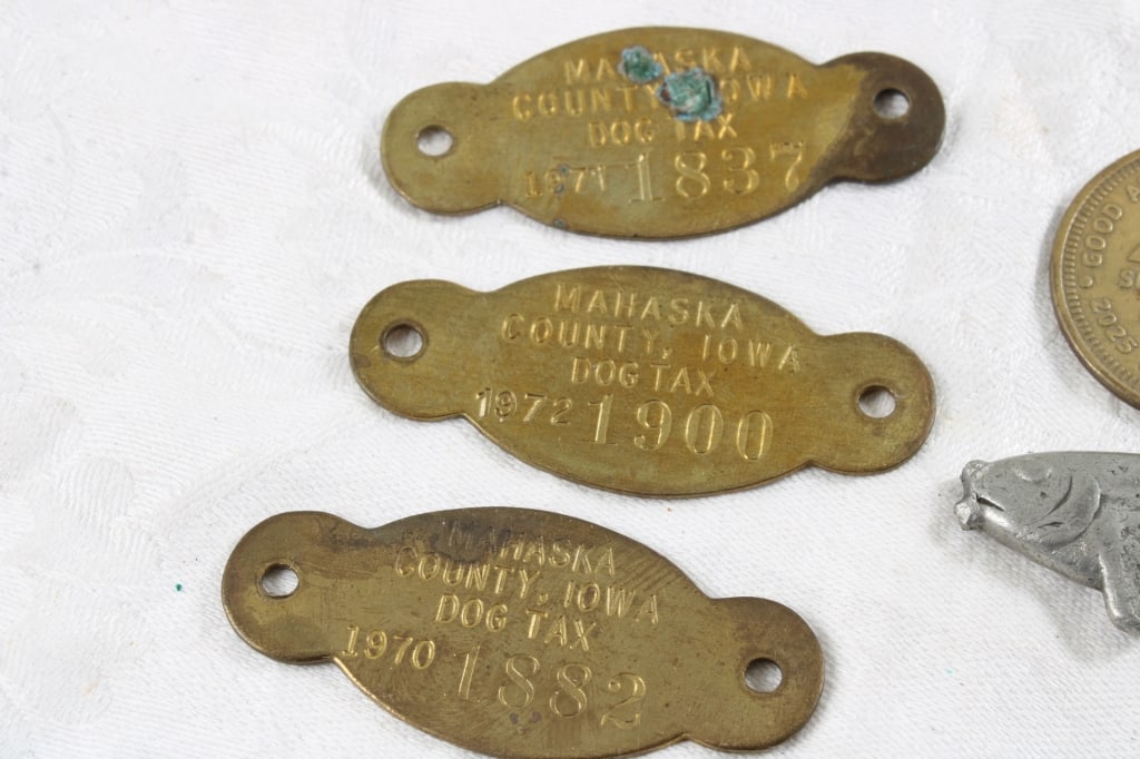 Dav, Pins, Dog License, Coat Check, Chevy Token - 4