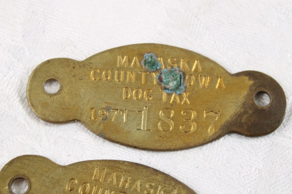 Dav, Pins, Dog License, Coat Check, Chevy Token - 5