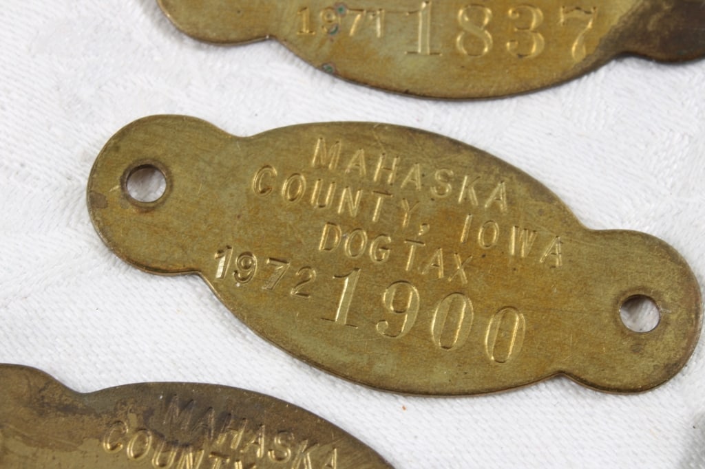 Dav, Pins, Dog License, Coat Check, Chevy Token - 6