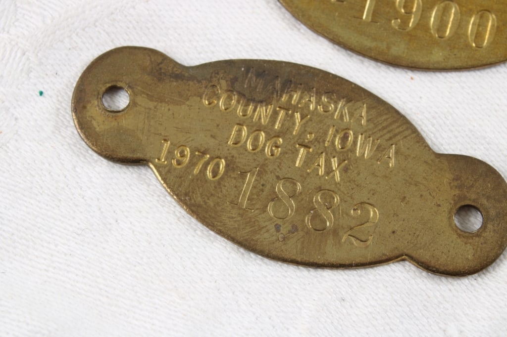 Dav, Pins, Dog License, Coat Check, Chevy Token - 7