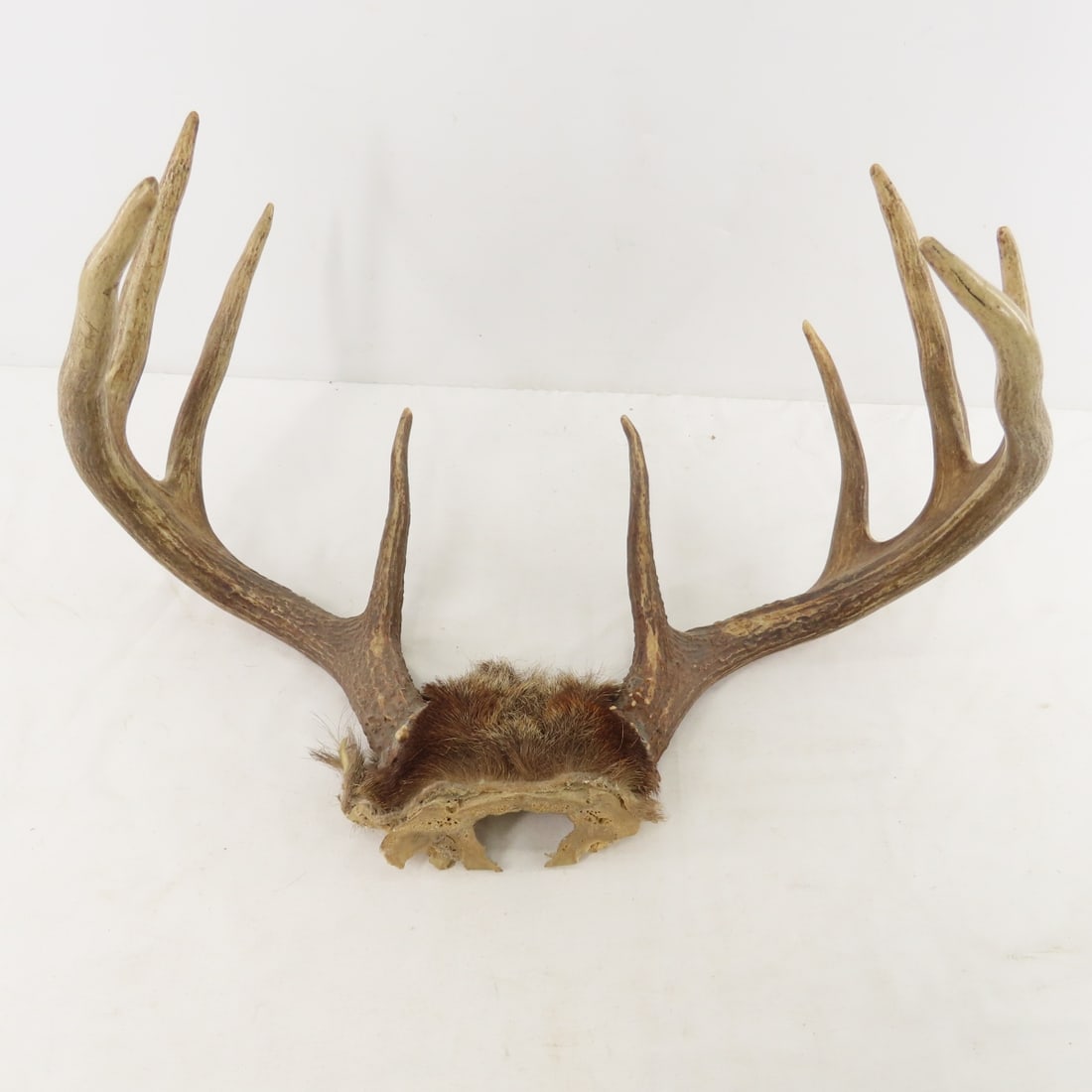 8 Point Deer Rack, Duck Decoy, Signs, bone handles - 2