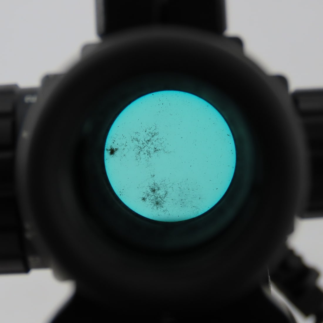 Bushmaster Carbon 15 .223 / 5.56mm Rifle - 13