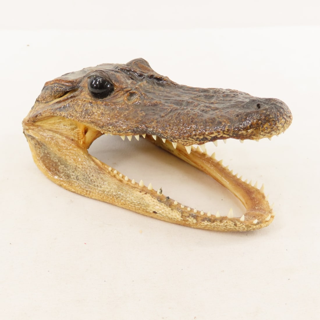 Crosman Repeater BB Pistol with BB's, Pellets - 11